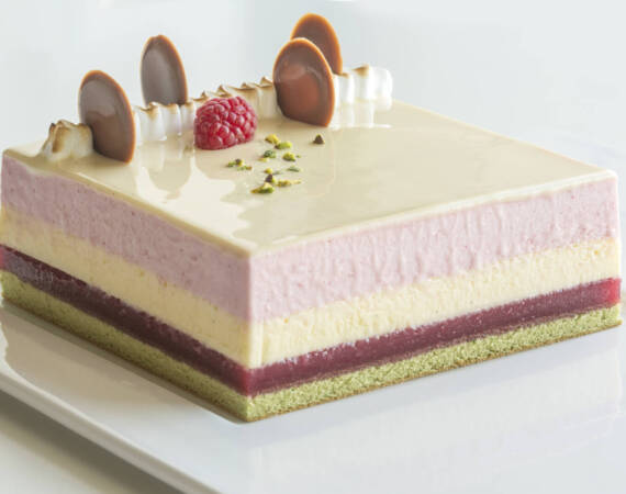 LILLY APPLICATION (4)