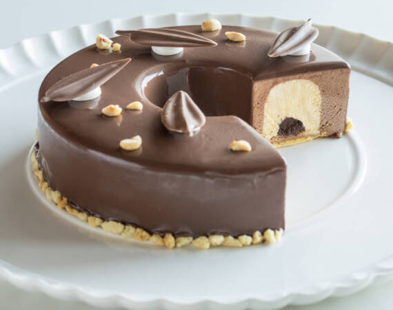 LILLY APPLICATION (5)