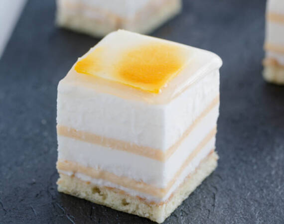 MIGNON - BAVARESE PESCA E YOGURT (7)