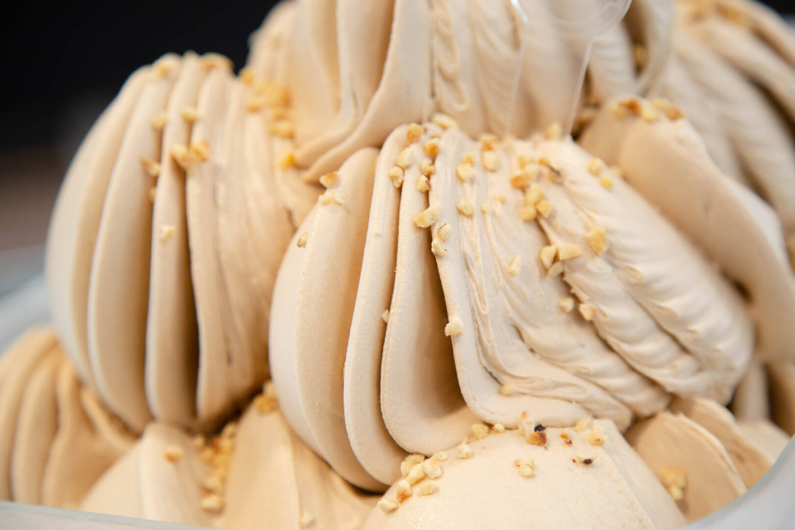 NOCCIOLA PIEMONTE IGP (3)