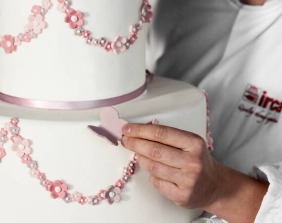 PRINCESS PASTE APPLICATION