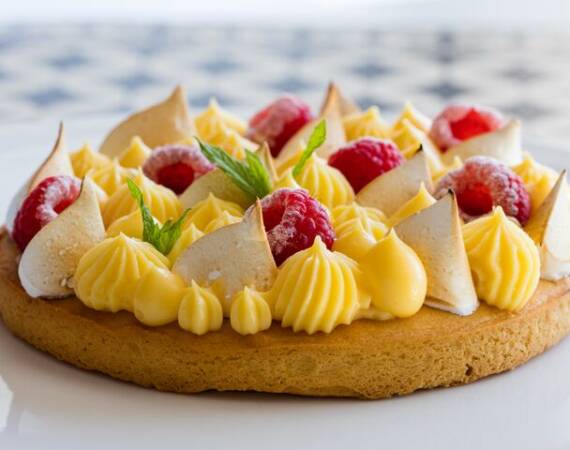 Small-TOP FROLLA APPLICATION (1)